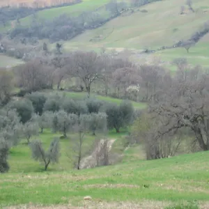 Casa Fibbianello Alloggio per agriturismo