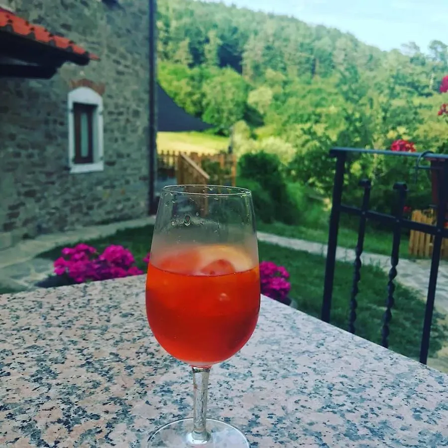 Fattoria Di Cintoia Villa Pontassieve
