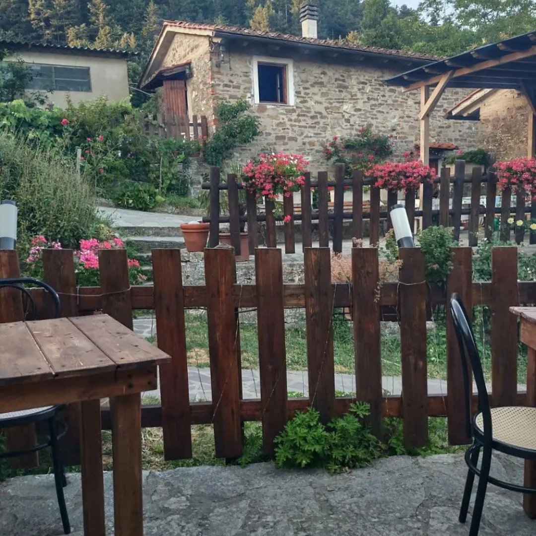 Farm stay Fattoria Di Cintoia Villa Pontassieve Italy