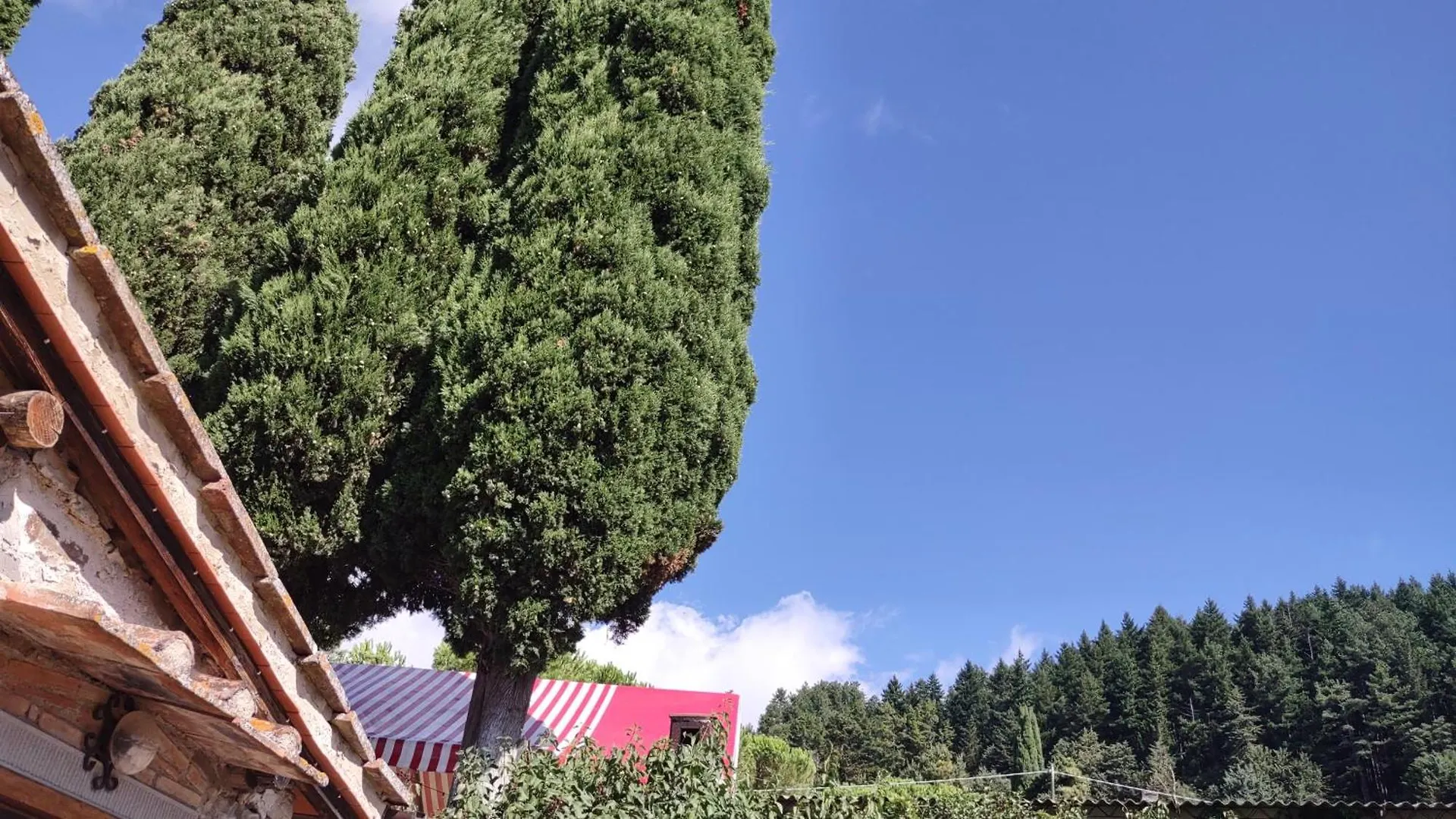 Farm stay Fattoria Di Cintoia Villa Pontassieve Italy