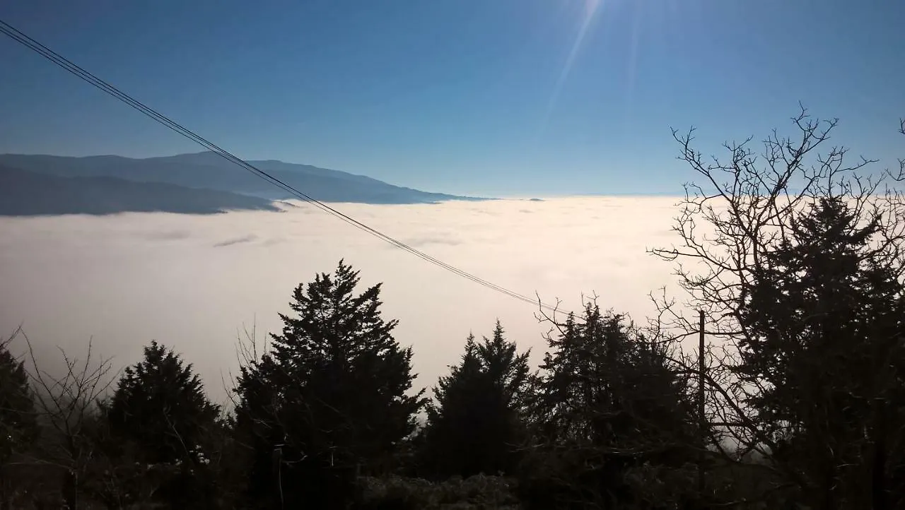 Fattoria Di Cintoia Villa Pontassieve