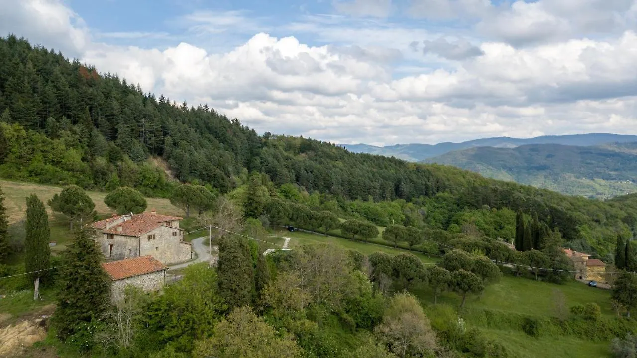 Fattoria Di Cintoia Villa Pontassieve