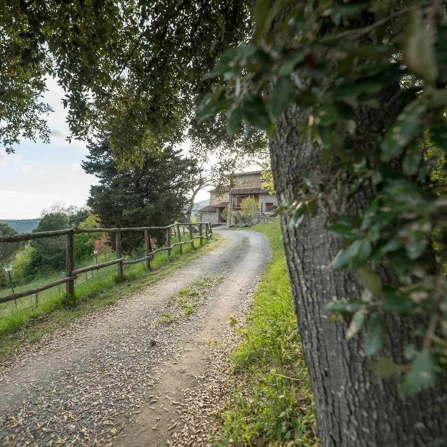Fattoria Di Cintoia Villa Pontassieve 0*,