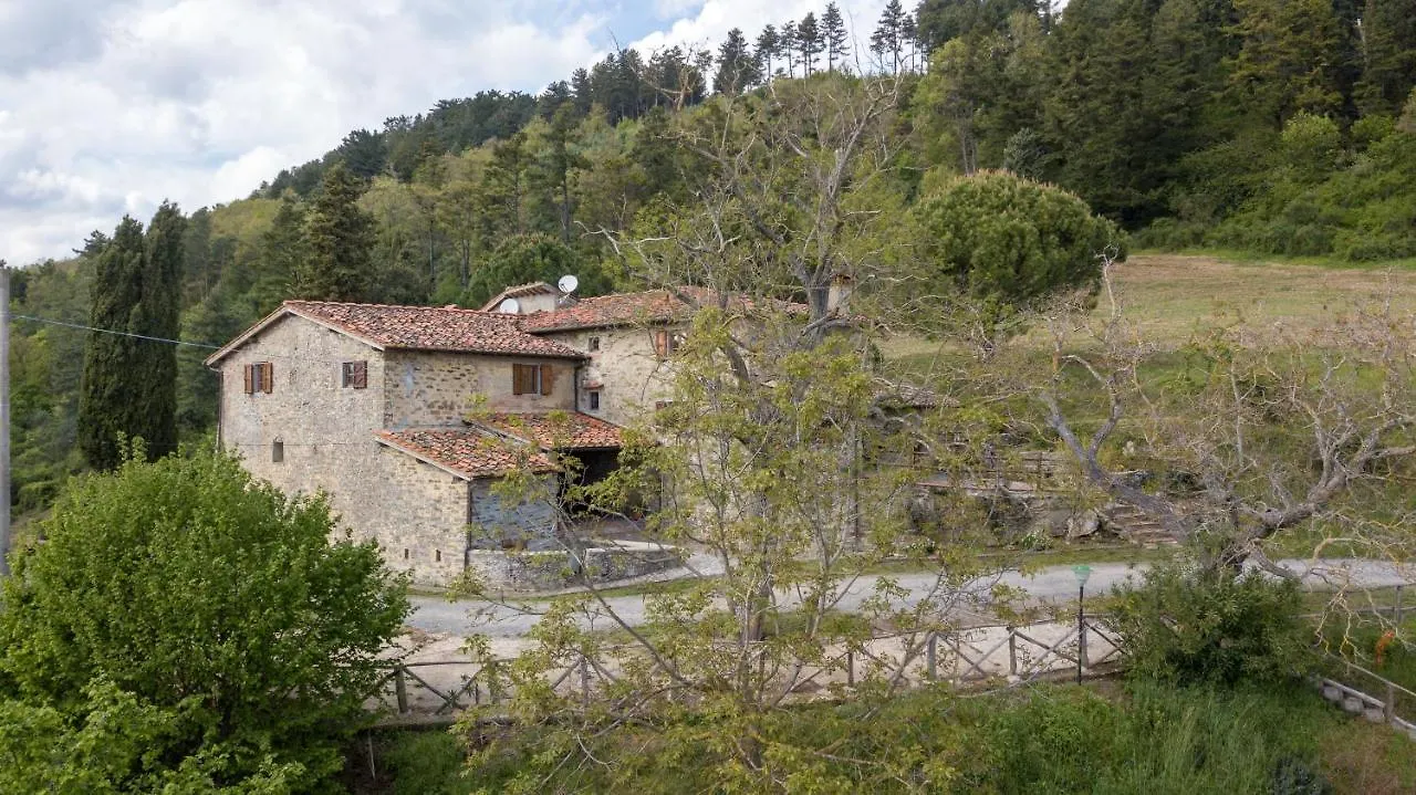 Fattoria Di Cintoia Villa Pontassieve Farm stay