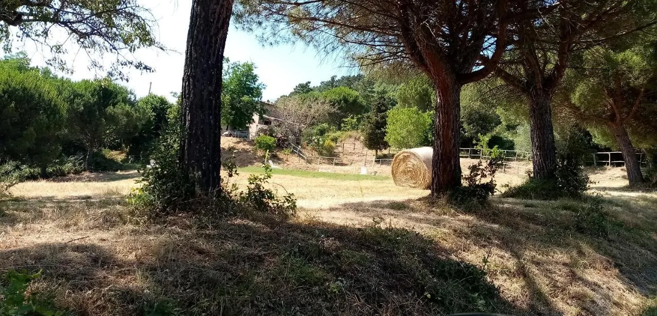 Farm stay Fattoria Di Cintoia Villa Pontassieve